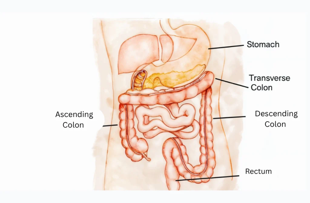 Best Hospital for Gastroenterology in Chennai