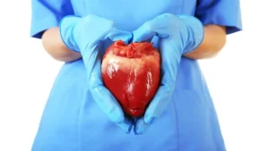 Heart Transplantation in Chennai