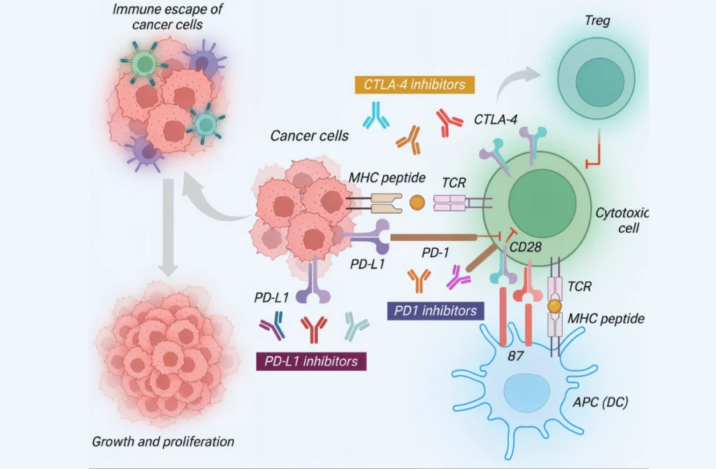 Breast Cancer Clinical Trials