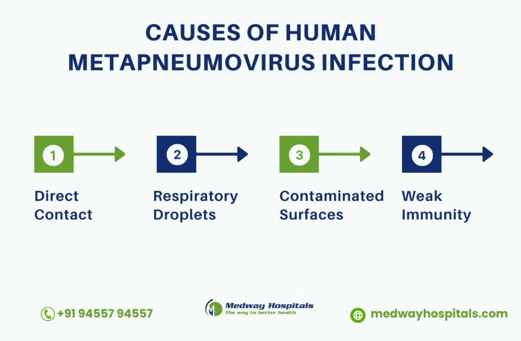 Causes of Human Metapneumovirus Infection