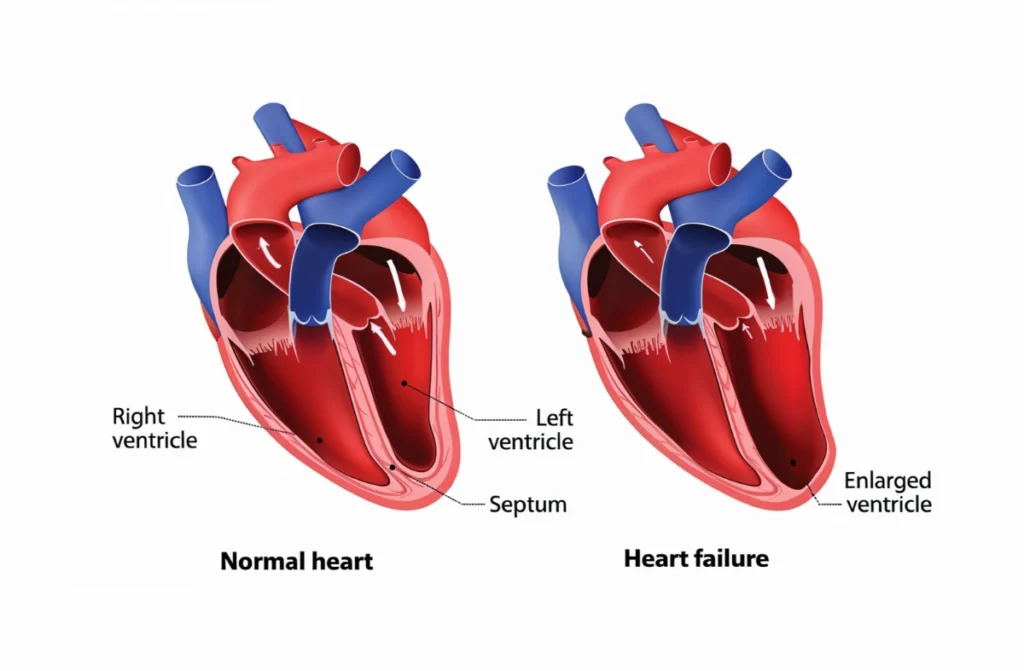 Know Your Heart Health