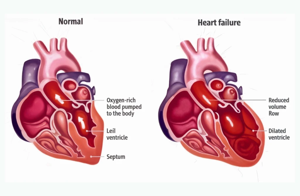 Signs of a Healthy Heart